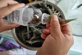 鲜虾怎么保存？老渔民教你一招，轻松保存一年，和活虾一样鲜美图片