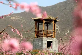 回忆总是美好的！去年的此景，今年会是怎样。图片