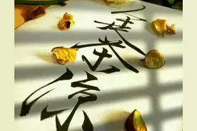 领导调走后一般不回原单位，其中道理你清楚吗图片