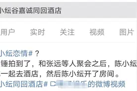 陈小纭爱上新弟弟，网友嘘声一片：她看男人的眼光，是真的不行图片