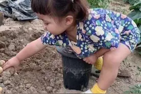 表情包：没回消息就是在忙农活图片