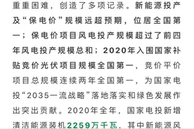 国家电投新能源装机，世界第一！图片