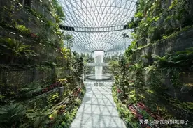 通航了！新加坡6月7月恢复这12个城市的航班图片