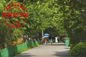开辟林下空间！福州花海公园将景观整治提升图片