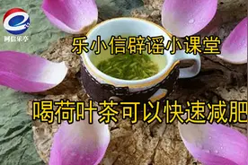 【乐小信辟谣小课堂】喝荷叶茶真的可以快速减肥吗？图片