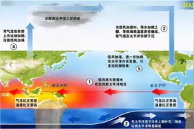 拉尼娜事件发生已成定局 今年冬天会被冻哭吗？图片