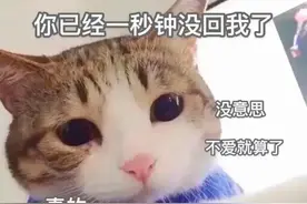 表情包：你已经一秒钟没回我了，不爱就算了没必要冷暴力图片