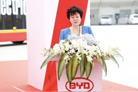 独家：她是比亚迪高级副总裁 深得王传福重视对海外市场功不可没图片