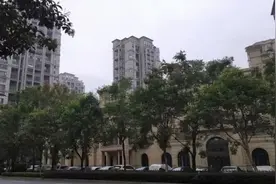 杭州出逃“黄金蟒”藏哪儿了？已经2米多长，有可能咬人吗？图片