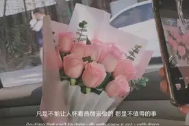 南墙已撞，故事已忘图片