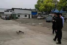 硬核！奉城出动无人机，用热成像取证违法行为图片