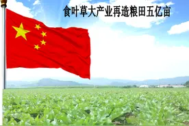 食叶草或将为中国再造五亿亩良田图片