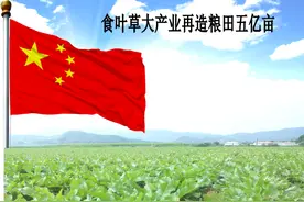 食叶草或将为中国再造五亿亩良田图片