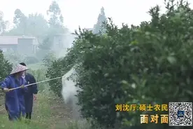 面对面丨“像呵护女朋友一样呵护它”硕士农民刘沈厅：对农业要有敬畏之心图片