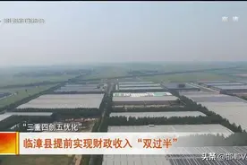 邯郸V视｜临漳县提前实现财政收入“双过半”图片