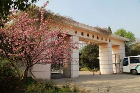 哈佛牛津等顶级大学华人正教授，毕业于这三所985的最多图片