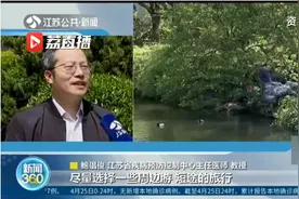 专家建议五一别和陌生人拼团旅行图片