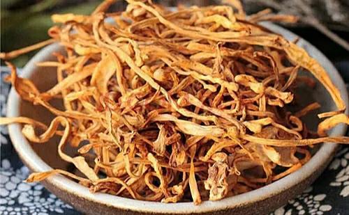 花胶虫草花小米粥 2026年花胶炖虫草花功效和作用