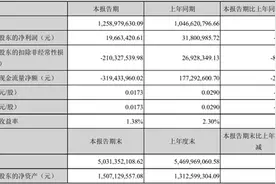 法人更替两年后再迎实控人变更 盈利能力不济的达华智能（002512.SZ）还有新故事吗？图片