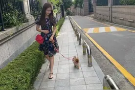 李多海 这样被Seven7迷上了 和宠物狗闲暇日常生活中清纯美貌图片