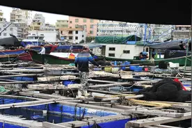 镜象：中国最后的“海上吉普赛人”图片