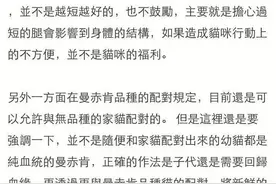 曼基康 米努特繁育方向图片