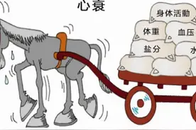 心衰了，用什么药治？从“金三角”进入了“新四联”图片