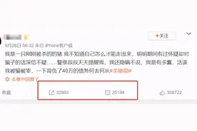 "我是一只刚刚被杀的猪",杀猪盘触目惊心：女生被骗上千万！诈骗流程曝光图片
