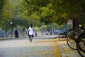 考研率全国第九 高考成绩中等有志读研的同学可考虑这所大学图片