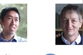 机器学习算法：分类与对比图片