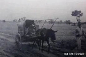 华县近代史上罪恶滔天的县长张雅轩图片