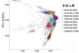 基因研究：汉族可分成7个亚群，种群基因多样性保护刻不容缓图片