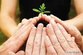教育，真的不要搞“一刀切”，真的没必要走那么多形式图片