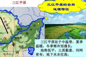 北大荒变成“北大仓”、为何又要退耕还“荒”？图片