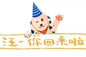 狗狗头七那天，我收到了一只和它一模一样的狗！图片