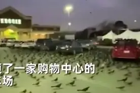 惊悚电影场景！数万只黑鸟惊现美国停车场，目击者称可怕图片