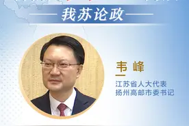 扬州高邮市委书记韦峰：坚持民生优先，城乡统筹打造美丽高邮图片