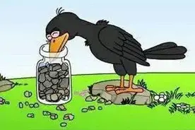 睡前胎教一天一个故事。今天我们由准爸爸讲（乌鸦喝水）图片