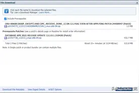 Oracle12C RAC PATCH安装p30354375图片