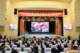 在这里，读懂庆阳苹果图片