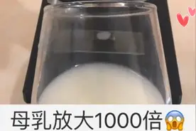 显微镜看放大1000倍的母乳，蠕蠕而动没杂质，人类第一口粮食图片