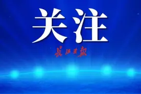 武汉市新冠肺炎疫情动态（2020年11月14日）图片