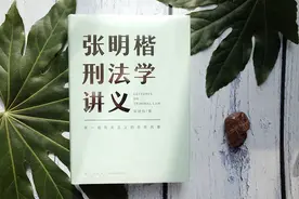 《张明楷刑法学讲义》：清华法学教授教你怎么看懂刑法学图片