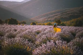 一个人是不是很穷，看他的朋友圈就知道了图片