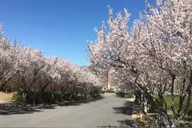 山东师范大学2019录取分数图片