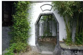 “门前少栽树，屋后不开窗”的原理是什么？专家：有一定科学依据图片