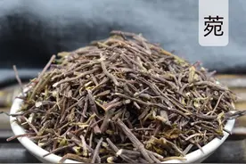 中药古今研究：紫菀图片