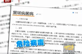 1斤红薯2斤屎？不仅升糖还致癌？真正不能吃的是这种红薯，会中毒图片