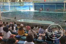 今日起，南昌动物园全面开放啦，大小朋友们约起来图片