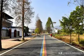 广东最美公路，全长只有55公里，沿途风景如穿越景区一样美图片